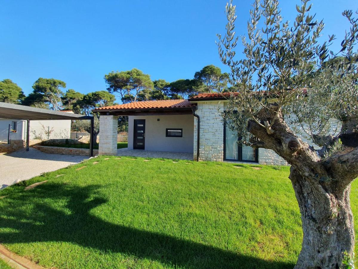 Casa Pinea Fazana Villa Vodnjan Eksteriør billede